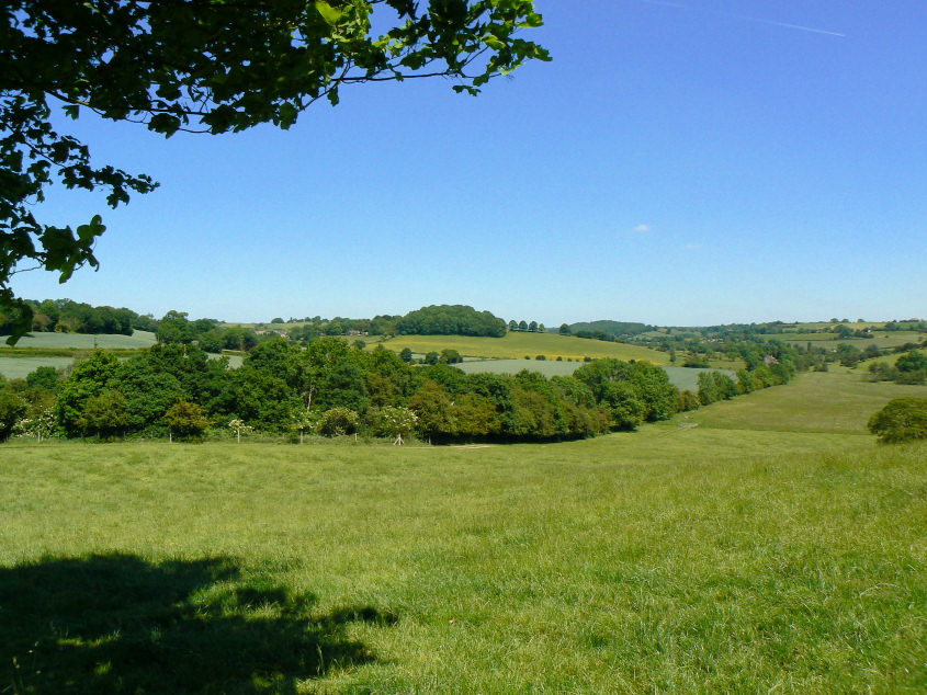 Coalburn Hill Coalburn Hill